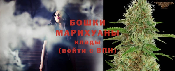 гашик Снежногорск