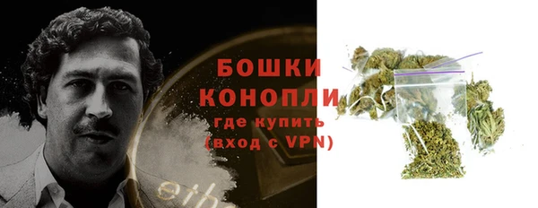 PSILOCYBIN Балабаново