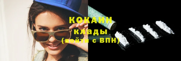 гашик Снежногорск