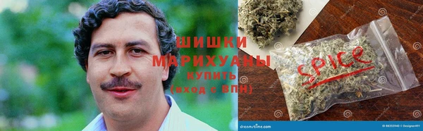 PSILOCYBIN Балабаново
