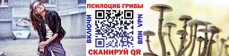 Галлюциногенные грибы GOLDEN TEACHER  даркнет сайт  гидра   Бирск 